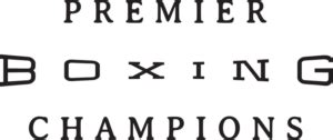 top 5 boxing organizations|5 Best Boxing Promotions Ranked 2024 (Surprise Inclusions).